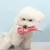 FurryFusion simulation tomahawk steak peluche chien jouet