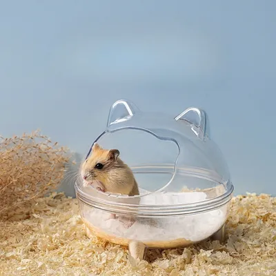 FurryFusion Baignoire pour hamster et chinchilla