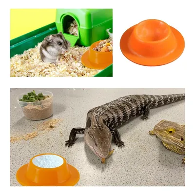 FurryFusion Plateau d'alimentation en silicone pour petits animaux