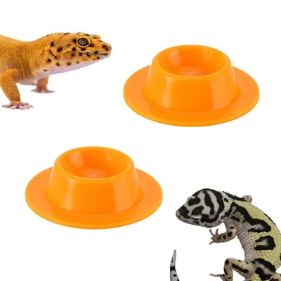 FurryFusion Plateau d'alimentation en silicone pour petits animaux