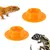 FurryFusion Plateau d'alimentation en silicone pour petits animaux
