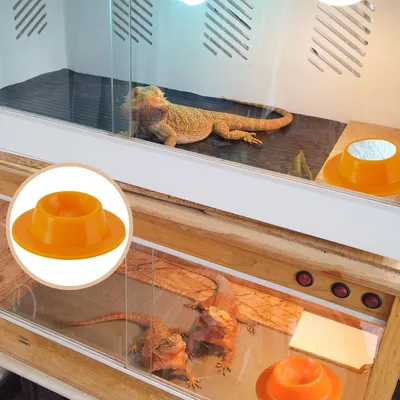 FurryFusion Plateau d'alimentation en silicone pour petits animaux