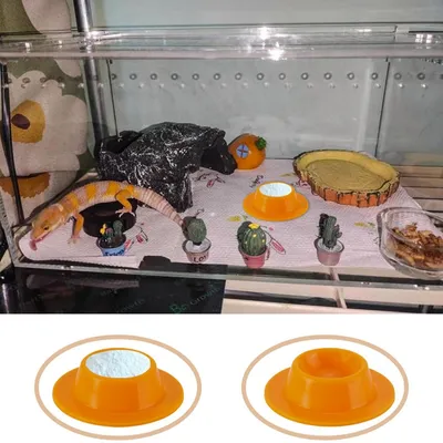 FurryFusion Plateau d'alimentation en silicone pour petits animaux
