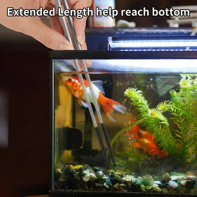 FurryFusion Pinces à nourriture pour petits animaux en acier inoxydable