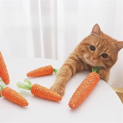 IntiMeg Jouet carotte sonore pour chat