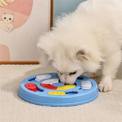 Pet Planet Jouet Interactif de Puzzle pour Chien