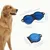 FurryFusion Gamelle pliable en silicone pour animaux de compagnie
