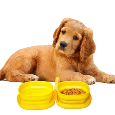 FurryFusion Bol pliable silicone pour animaux en déplacement