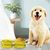 FurryFusion Bol pliable silicone pour animaux en déplacement