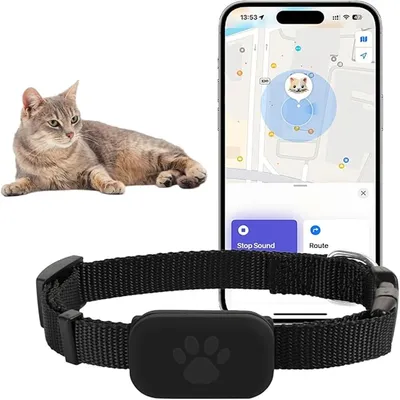 IntiMeg Collier traceur GPS pour chat