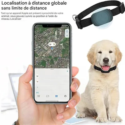IntiMeg Collier GPS Tracker pour chat