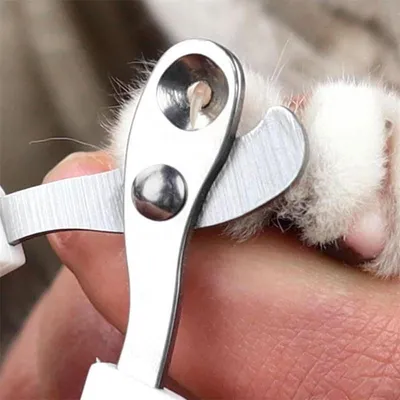 FurryFusion Coupe griffes chat, Ciseaux de toilettage pour chats