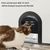 IntiMeg Porte intérieure pour chat avec verrouillage à 2 voies