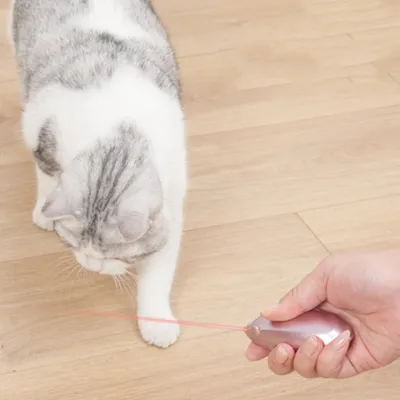 FurryFusion Baton laser en forme de souris pour chat