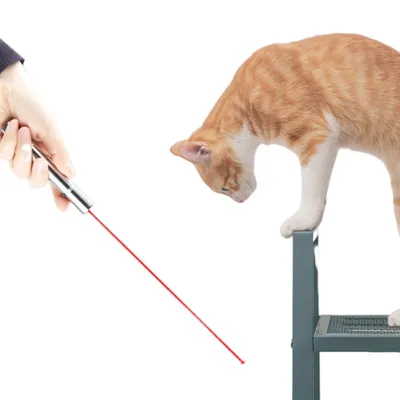 FurryFusion Jouet laser interactif pour chat