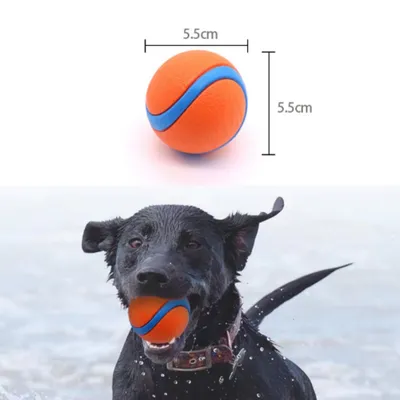 FurryFusion Jouet pour chien balle en caoutchouc