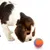 FurryFusion Jouet pour chien balle en caoutchouc