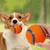 FurryFusion Jouet pour chien balle en caoutchouc