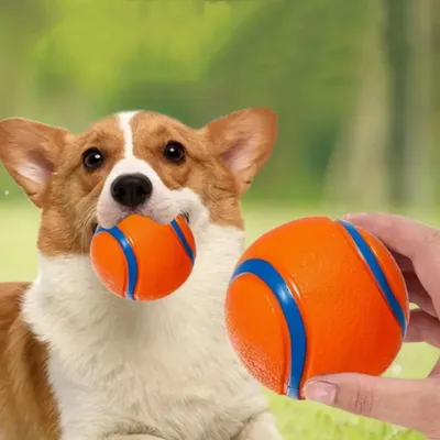 FurryFusion Jouet pour chien balle en caoutchouc