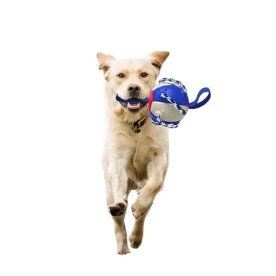 FurryFusion Jouet pour chien Frisbee de football