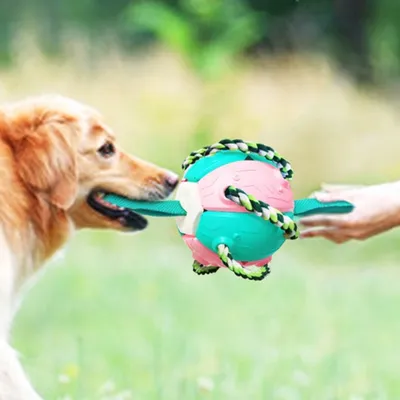FurryFusion Jouet pour chien Frisbee de football