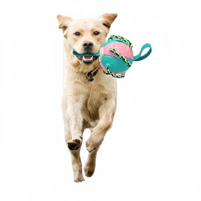 FurryFusion Juguete para perros, frisbee de fútbol