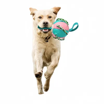 FurryFusion Jouet pour chien Frisbee de football