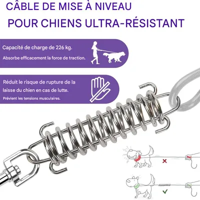IntiMeg Câble d'attache pour chien