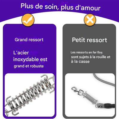 IntiMeg Câble d'attache pour chien