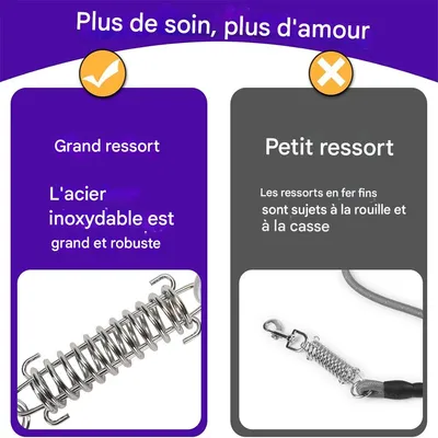 IntiMeg Câble d'attache pour chien