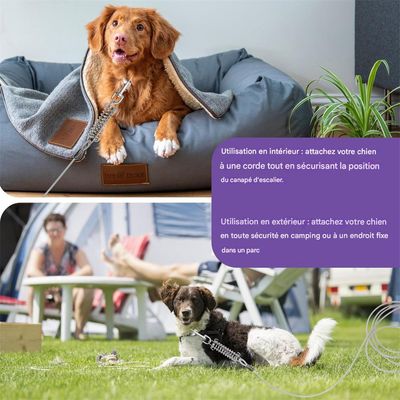 IntiMeg Câble d'attache pour chien