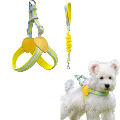 FurryFusion Harnais et laisse pour chien moyen FurryFusion Harnais et laisse pour chien moyen
