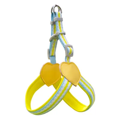 FurryFusion Harnais et laisse pour chien moyen