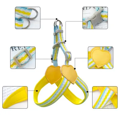 FurryFusion Harnais et laisse pour chien moyen