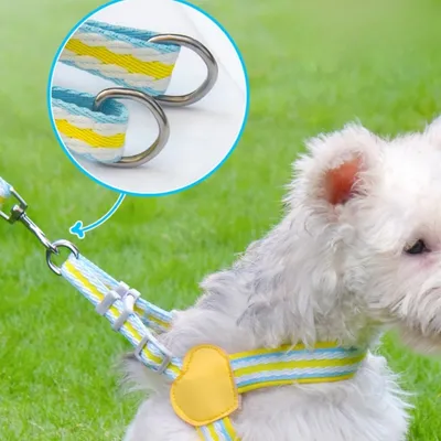 FurryFusion Harnais et laisse pour chien moyen