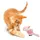 Perroquet