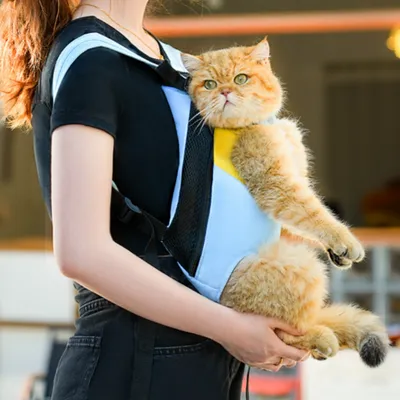 FurryFusion Sac à dos pour chien et chat portatif