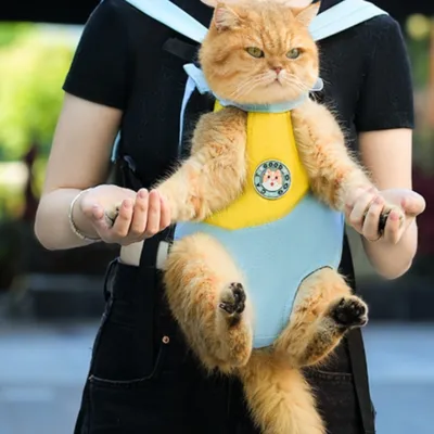 FurryFusion Sac à dos pour chien et chat portatif