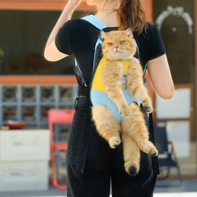 FurryFusion Sac à dos pour chien et chat portatif