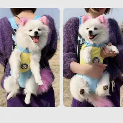 FurryFusion Sac à dos pour chien et chat portatif