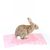 IntiMeg Tapis de cage pour lapin et petits rongeurs