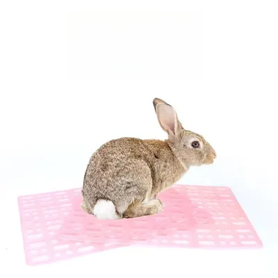 IntiMeg Tapis de cage pour lapin et petits rongeurs