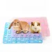 IntiMeg Tapis de cage pour lapin et petits rongeurs
