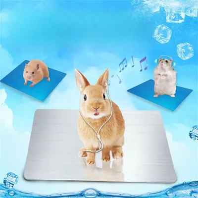 IntiMeg Plaque de refroidissement pour animaux de compagnie IntiMeg Plaque de refroidissement pour animaux de compagnie