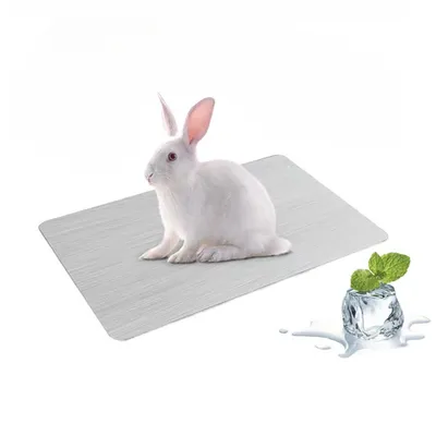 IntiMeg Plaque de refroidissement pour animaux de compagnie IntiMeg Plaque de refroidissement pour animaux de compagnie