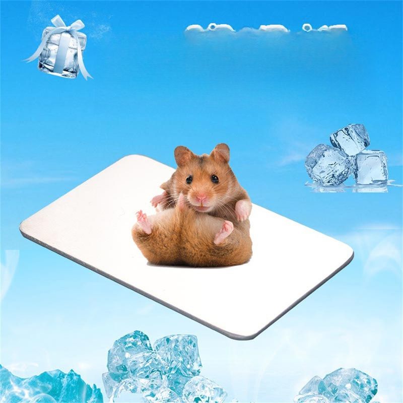 IntiMeg Plaque de refroidissement pour animaux de compagnie
