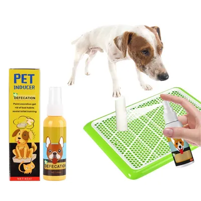 FurryFusion Inducteur de défécation pour chien