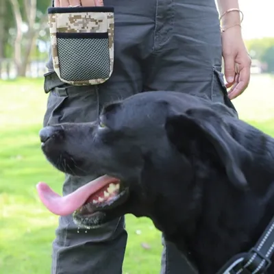 FurryFusion Sac à friandises portable pour chien
