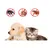FurryFusion Spray anti-puces et insectes pour animaux de compagnie