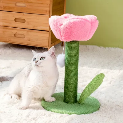 UAMLY Arbre à chat en forme de tulipe